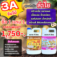 3A จัมโบ้ ซื้อ 1 แถม 1 ฉีดพ่นทางใบ สูตรสำเร็จสำหรับ “ลำไย” ลดการใช้ปุ๋ยเคมี พืชสมบูรณ์ ก้านช่อยาว โต