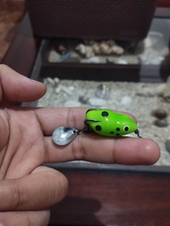 soft frog 3.3 cm umpan gabus toman dan ikan predator lain