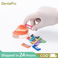 Dental brand Orthodontic Abrasive Strips/Abrasive Polyester Strip for Polish/ IPR Orthodontic Stripp