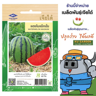 CHIATAI 🇹🇭 ผักซอง เจียไต๋ F144 แตงโม แม็กนั่ม F1 จำนวนประมาณ 10 เมล็ด แตงโม แตงโมไร้เมล็ด เมล็ดพันธุ์ผัก เมล็ดผัก เมล็ดพืช ผักสวนครัว