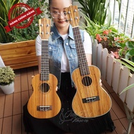 Ukulele Concert Chard U 24INCH Good Sound - Genuine Product