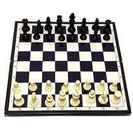 Chess Set - International 5 Star LiLa Magnet Chess Board, Magnetic Chess Board Cum Premium Case