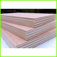 ⌒ ◳  ◐ PLYWOOD MARINE BRAND 3/4 (18mm)