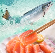 【鮮食堂】(4包)澳洲冰鮮空運鮭魚生魚片 (100g±10%/盒(生食級))
