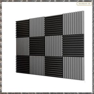 [L W H Y] 12 Pcs Acoustic Foam Board,Studio Wedge Tile,Acoustic Foam Soundproof Pyramid Studio Treat