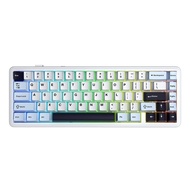 Aula F65 Mechanical Keyboard