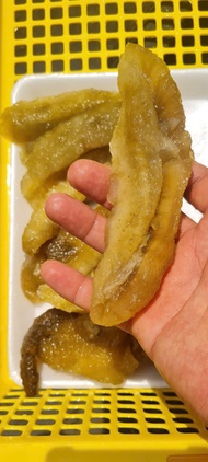 Hải Sâm Gai Con To Màu Vàng Hàng Chất Lượng 500gr(hỏa tốc hcm).