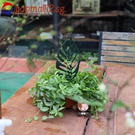 [January New] 10*26cm 5PC Stackable Climbing Vine Plant Support Pole❀
