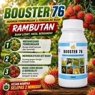 Booster 76 Hormon Rambutan Penggalak Bunga & Buah Lebat Kurang Gugur Putik Buah 2026