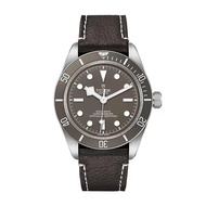 Tudor Tudor Biwan Men's Watch Automatic Mechanical Men's Watch M79010SG-0001