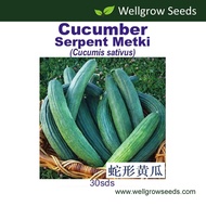 Cucumber Serpent Metki Dark Green Armenian (30sds) 蛇形黄瓜 Timun Vegetable Seeds Wellgrow Seeds
