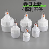 Led Outdoor Bulb Camping Stall Light usb Rechargeable Bulb