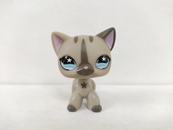 LPS Toy pet shop Grey short hair Cat #468 Littlest Pet Shop kid toy