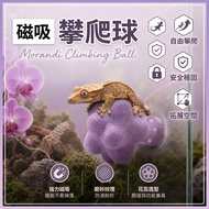 [Yuanyou] Eyelash Gecko Climbing Pet Magnetic Landscaping Rock Climbing Ball