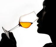 義大利 Luigi Bormioli 烈酒杯 品酒杯 170ml