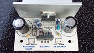 Kit Chip Amp Tda7294 Power Amplifier Dg Psu 100 Watt Jernih Mantap