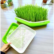 KAM – Plastic sprout tray – size 34x25x4.5cm – without lid