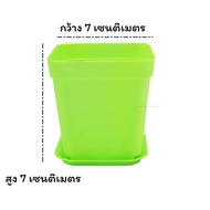 กระถางแคคตัส (พร้อมถาดรอง) ขนาด 7x7Cm ( 7สี ) กระถางต้นไม้พลาสติก สำหรับ กระบองเพชร หรือ ไม้ประดับต่างๆ สวย ระบายน้ำได้ดี