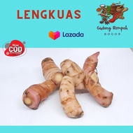 Lengkuas loas laja 1kg fresh segar