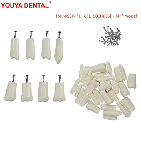5pcs Replacement Teeth Compatible With NISSIN D16FE-500H(GSF)-MF Dental Teeth Model For Studying Tra