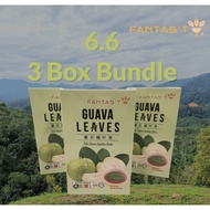 FANTAS'T Guava Leaves Tea 3 Box Bundle (30 Sachets /Box)