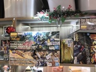 Bandai 全新 高達 Exia 雪崩 數碼暴龍FRS 遊戲王 千年積木黃金櫃 RG EVA 六號機 6號機