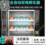 【110V】孵化機 全自動孵化器 家用小型孵化機 鴿子孵蛋器雞蛋孵化箱智能小雞孵蛋機