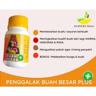BAJA BUAH BESAR / BAJA PEMBESAR BUAH/BAJA BUAH BESAR PLUS/FRUIT FERTILIZER/TONIK BUAH/BAJA POKOK BUA