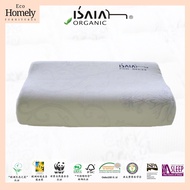 Isaiah Organic Pillow EcoCare