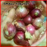 ◮ ♙ ¤ ◄ SMALL ONIONS/ LASONA/LASUNA/MALILIIT NA SIBUYAS( Ship out Agad)