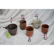Plant Pots Cactus