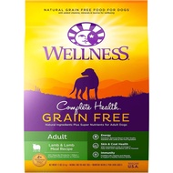 Wellness Complete Health Grain Free Adult Lamb &amp; Lamb Meal Recipe Dry Dog Food, 24 lbs (10.8 kg)