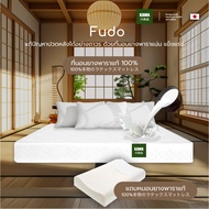 Kawa ที่นอนยางพารา Fudo หนา 6 นิ้ว ช่วยลดอาการปวดหลัง ที่นอนแน่นสบาย Hybrid แถมหมอนยางพาราแท้