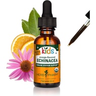 Herb Pharm Kids Certified-Organic Alcohol-Free Echinacea Glycerite Liquid Extract, 1 Ounce