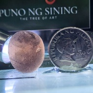 SAFFORDITE TEKTITE Cintamani HEALING CRYSTAL COLLECTOR’s Stone