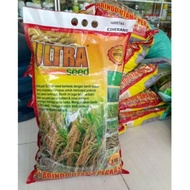 BENIH PADI UNGGUL INPARI 30 42 32 ALINDO 5 kg ULTRA SEED 5 KG