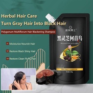 Polygonum Multiflorum Hair Blackening Shampoo Herbal Oil Control Shampoo Anti hair loss shampoo