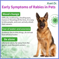 ☻ ⊕ Xvet Dr Dog and Cat Test Kit RBV Test Paper Rabies Virus Rapid Test Kit For Dog and Cat