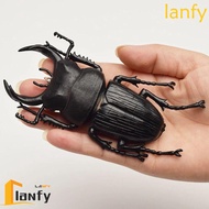 LANFY Simulation Beetle Trick Props Teaching Aids Insect Toy Fake Beetle Beetle Figures Joke Toys In