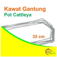 Kawat Gantung Pot Cattleya 35 cm kaki 2 anggrek dendrobium tali hijau