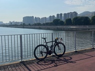 BMC teammachine slr01