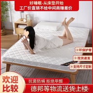 Tatami Children's Coconut Palm 1.8m1.5m1.2m Rental Room Mattress Eco-friendly Foldable Hard Mattress