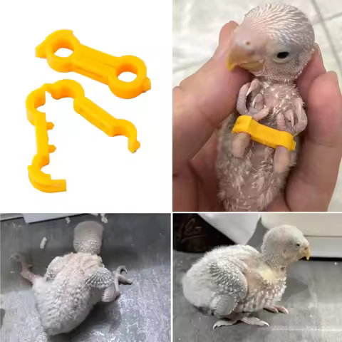 4/5/6mm Parrot Corrector Rutin Chicken Budgie Peony Budgie Cockatiel Nestling‌ Eight-Character Corre