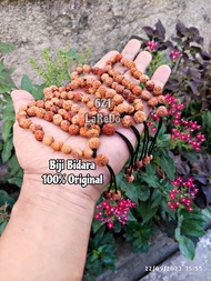 621 Gelang Balita anak dewasa biji bidara 7-8mm original SIDR 100% bukan jenitri