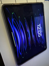 2022 M2 11” iPad Pro 第四代 512GB wifi