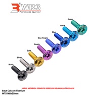 Wr3 Titanium M8 x 18 / M8x 25 / M8x30 Disc Disc Bolts