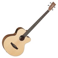 PROMO- BASS AKUSTIK ELEKTRIK TANGLEWOOD DBT AB BW CH