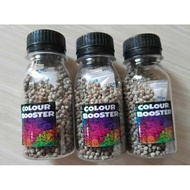 Fish Food Fish Pellet channa Color BOOSTER CHAMP Emphasizes The Color Of The maru Flower batik dot Pearl