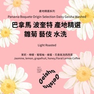 Panama Poquette Production Place Selection Daisy Geisha Washed Light Roasted Coffee Beans [Eagle Cof