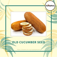 [Seeds] Old Cucumber / Timun Tua Vegetable Seeds ±10 seeds (Seeds only)